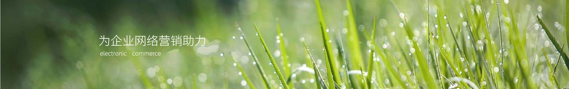 人ںܿƼ޹˾